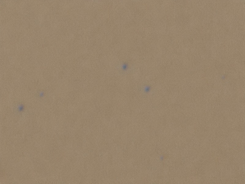 保险丝应用DC/DC转换应用说明